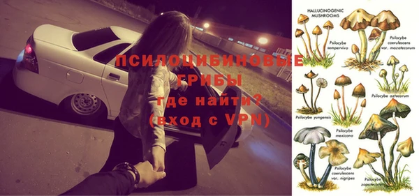 каннабис Алзамай