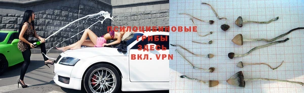 каннабис Алзамай